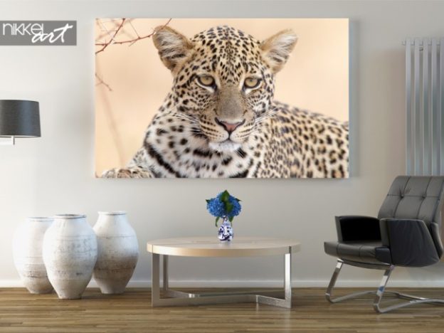 Wanddecoratie op maat: een foto op aluminium luipaard